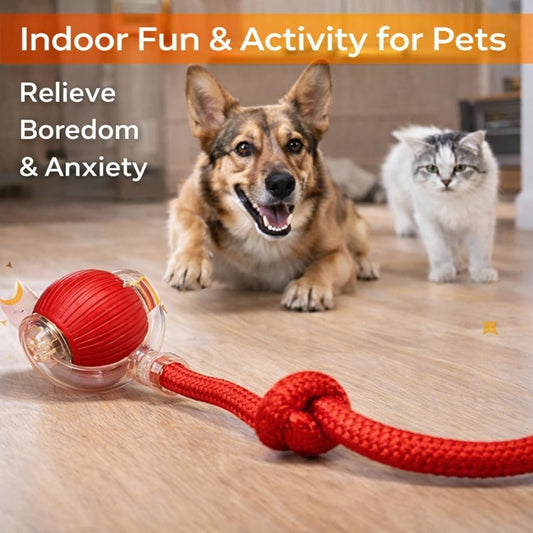 Rolling Fun Ball – Smart Interactive Pet Toy for Dogs & Cats