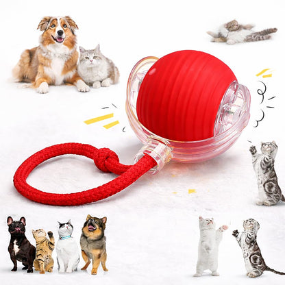 Rolling Fun Ball – Smart Interactive Pet Toy for Dogs & Cats