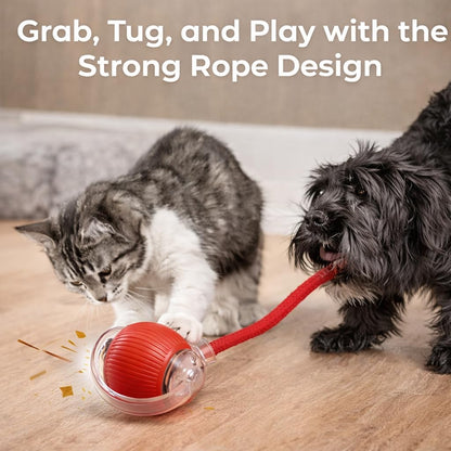 Rolling Fun Ball – Smart Interactive Pet Toy for Dogs & Cats