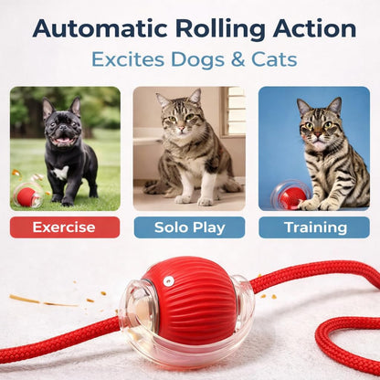 Rolling Fun Ball – Smart Interactive Pet Toy for Dogs & Cats